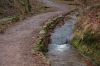 Eisenach-Drachenschlucht-111231-1DSC_0965.JPG