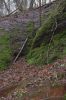 Eisenach-Drachenschlucht-111231-DSC_0010.JPG