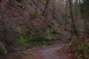 Eisenach-Drachenschlucht-111231-DSC_0067.JPG